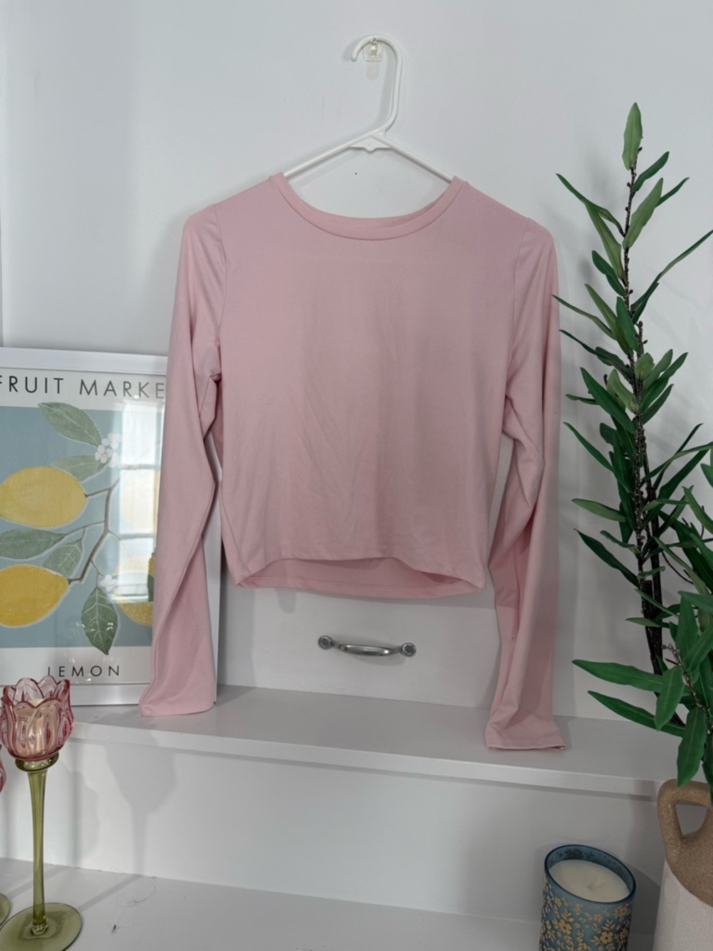 Women's Pink Long Sleeve Slightly Crop Top